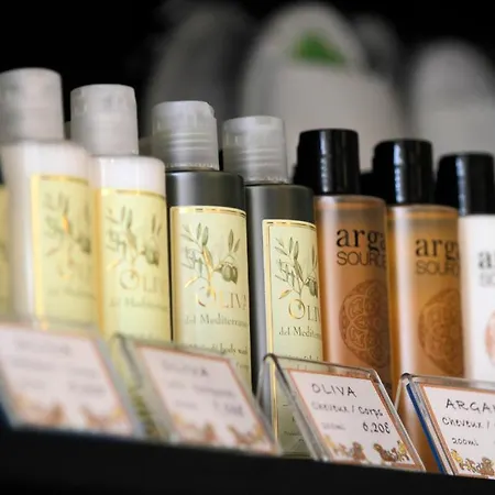 小王子酒店 酒店 圣马克西姆